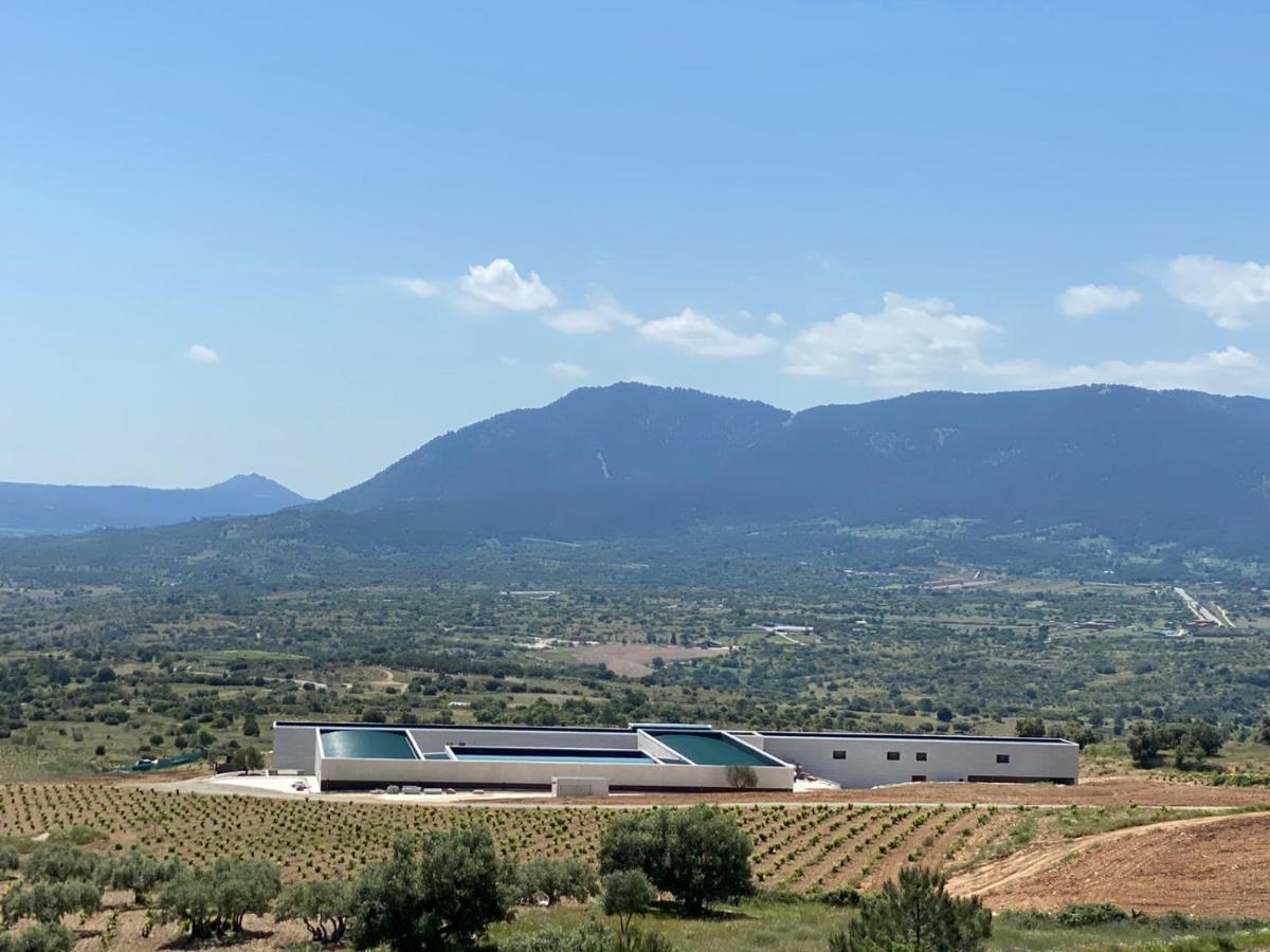 Hotel Tierras De Cebreros Eksteriør billede