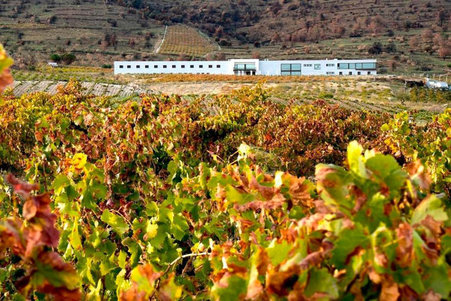 Hotel Tierras De Cebreros Eksteriør billede
